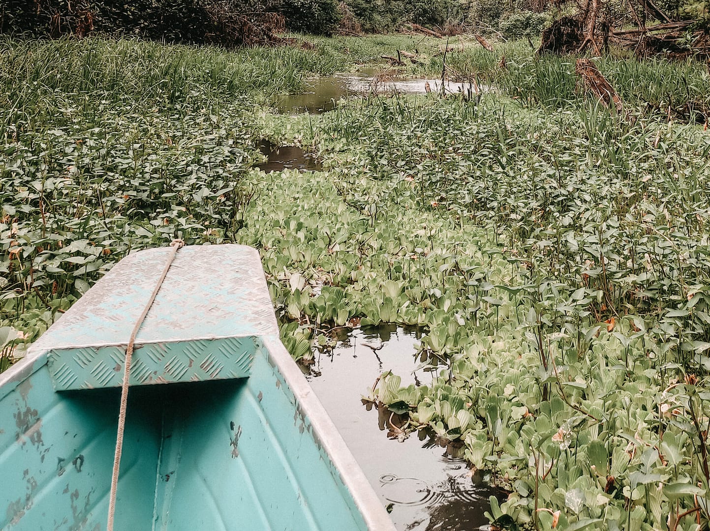 Holzboot auf Amazonas